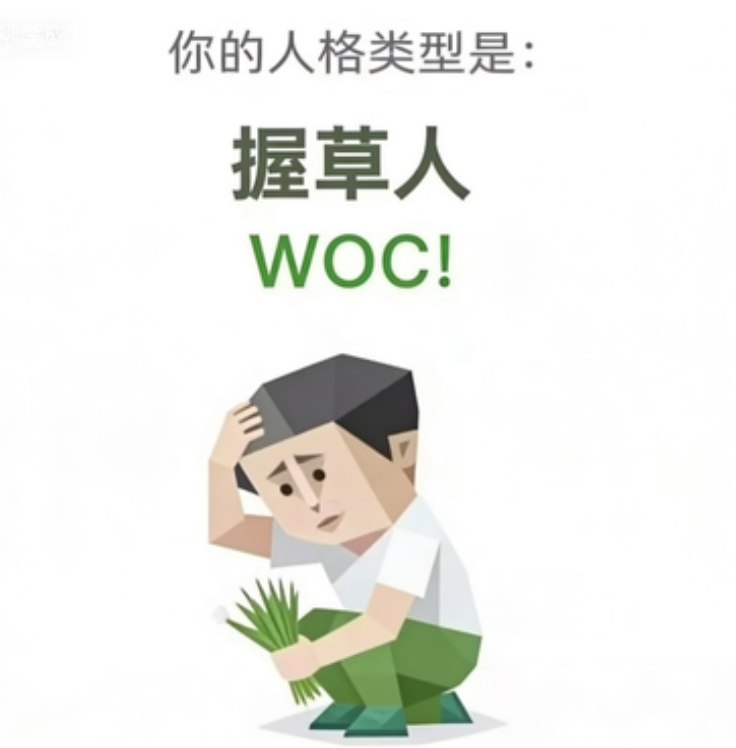 SBTI WOC! 握草人 人格类型：等等，这说的是我？